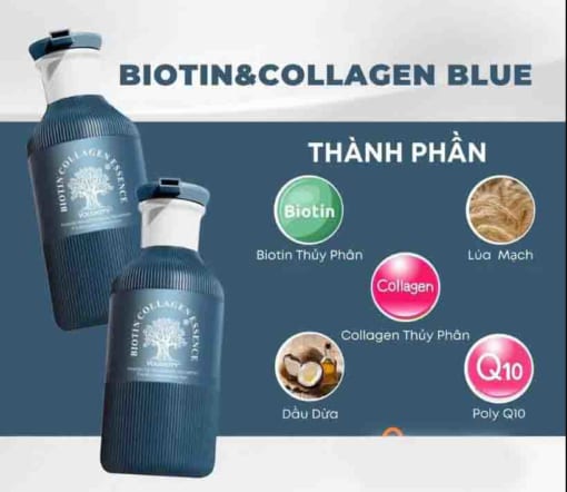 dầu gội biotin collagen essence
